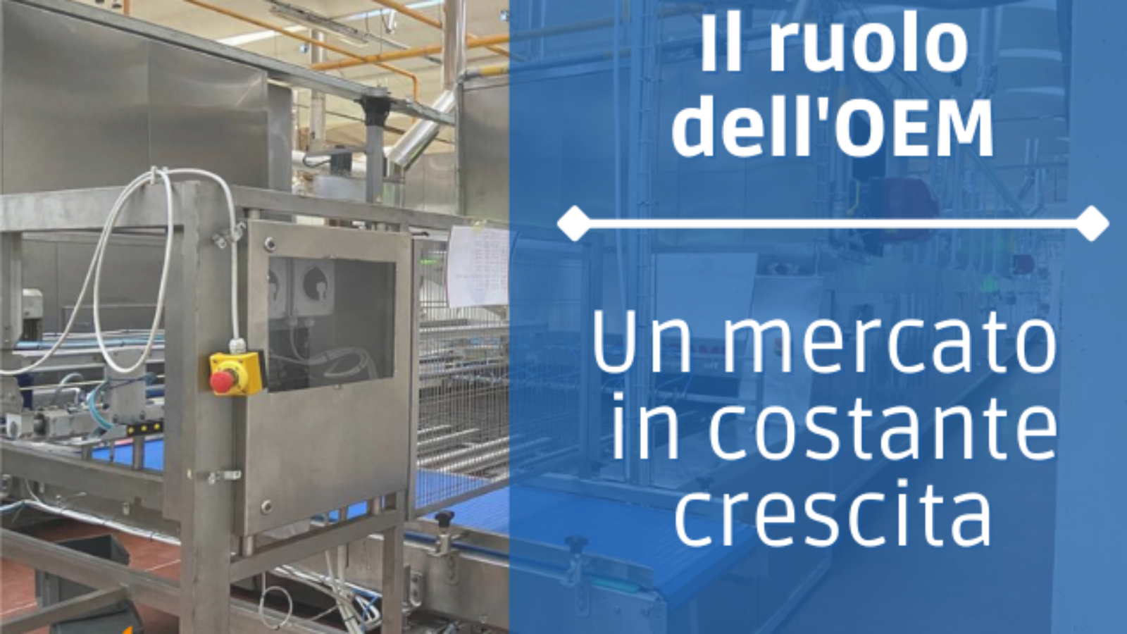 Il ruolo dell'OEM